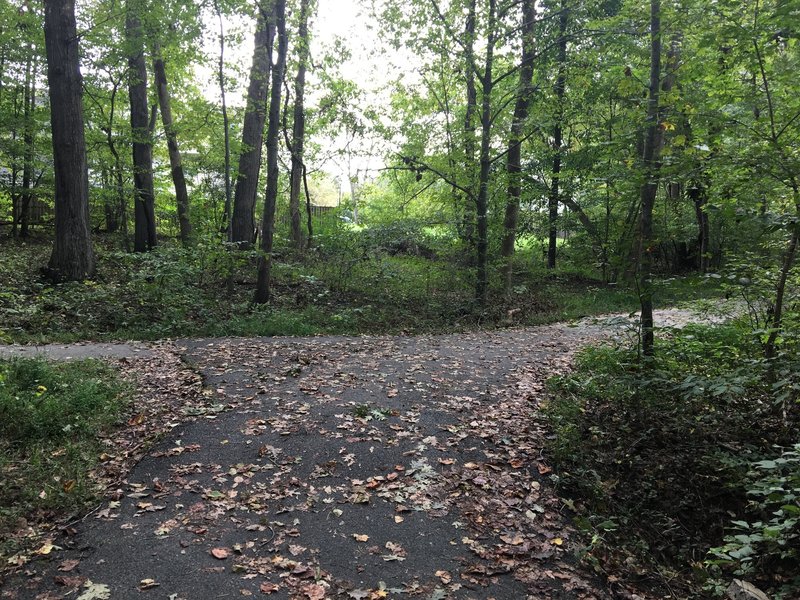 South Run Stream Valley Trail heading east. Main trail is on right.