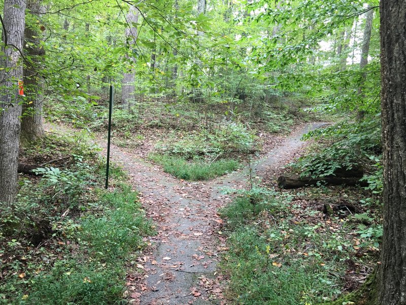 South Run Stream Valley Trail heading east. Main trail runs to the left.