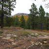 Fall colors along the West Wagon Road Loop Trail.