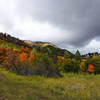 This network of trails is popping with color at the beginning of October.