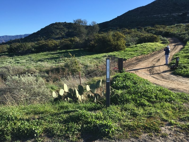 Entrance to Loma Ridge in the east from Hicks Haul Road.