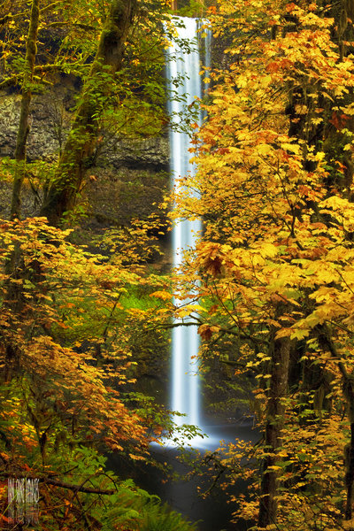 South Falls shrouded by fall leaves.