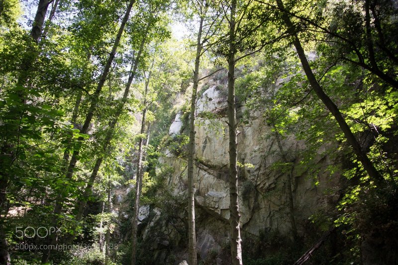 Looking towards Sturtevant Falls.