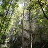 Looking towards Sturtevant Falls.