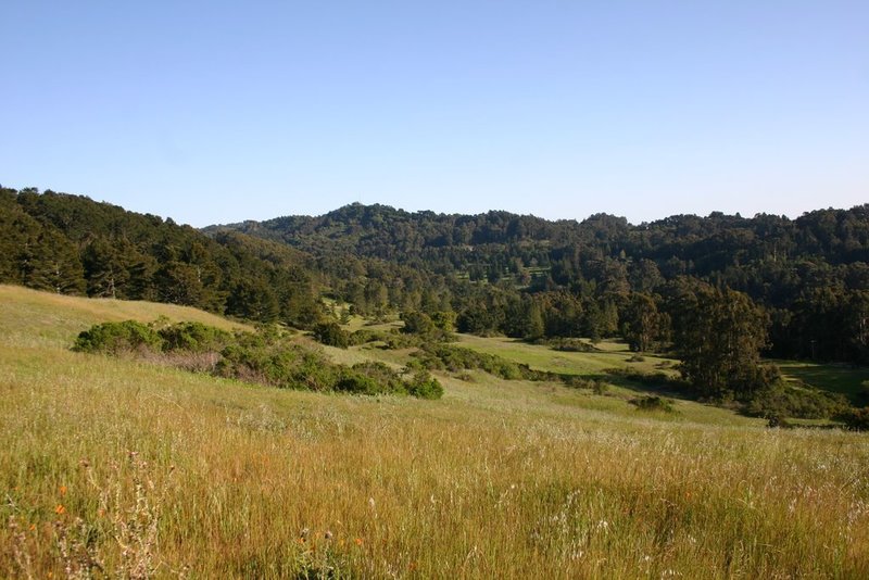 Tilden Park in spring, near Quarry Trailhead.