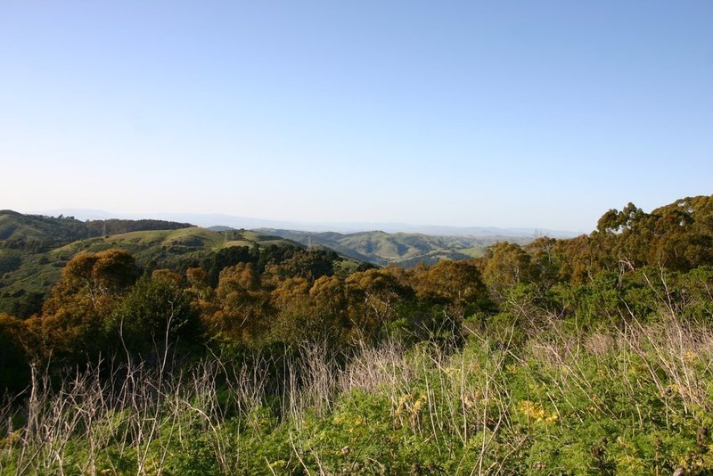Tilden Park in spring, looking northeast from Seaview Trail.