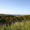 Tilden Park in spring, looking northeast from Seaview Trail.