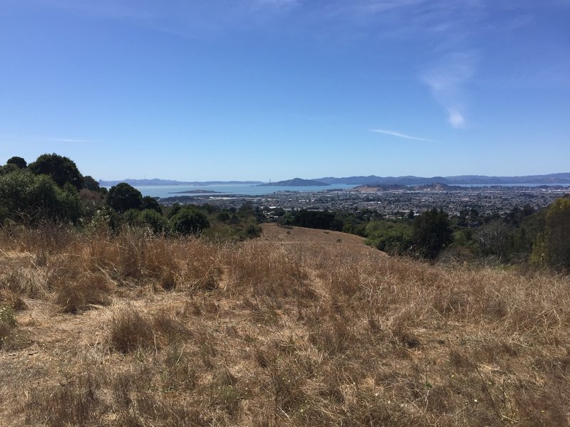 Golden Gate Bridge in the distance.