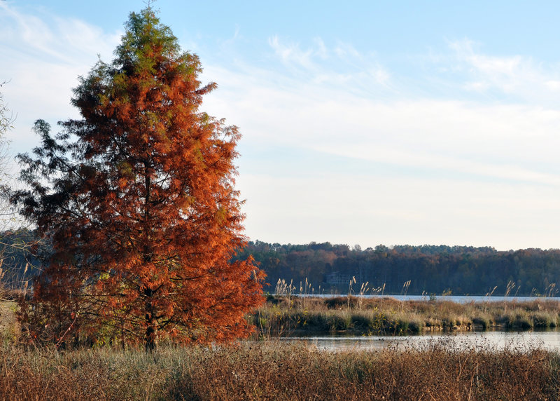 Lake Crabtree in the fall.