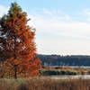 Lake Crabtree in the fall.