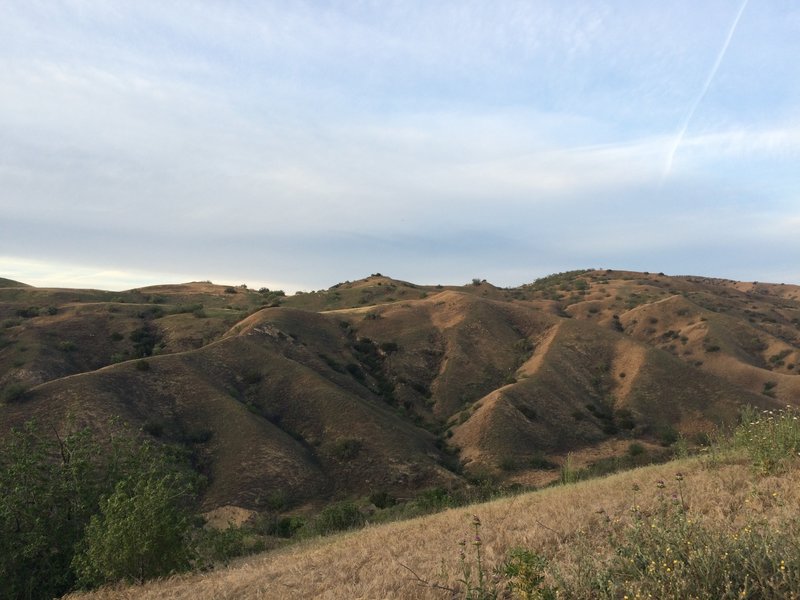 The hills near the Diemer Trail.