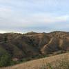 The hills near the Diemer Trail.