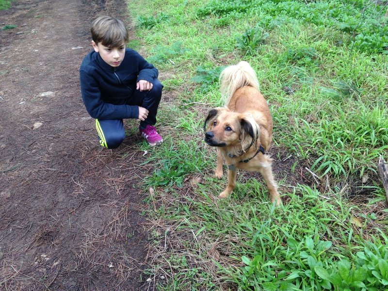 Trail buddies.