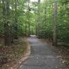 Paved pathway typical of South Run Stream Valley Trail.