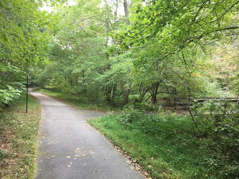 Main trail continues straight ahead. Bridge crosses South Run stream.