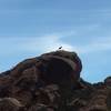 Big Horn Sheep perched on the huge rock.