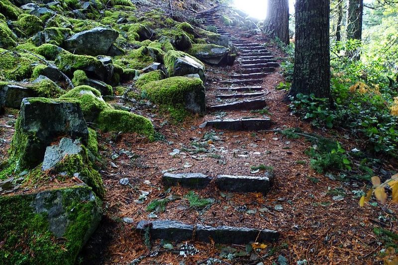 Laurel Hill was one of the most challenging sections for pioneers on the Oregon Trail. Photo by Guy E, Meacham.