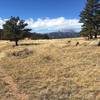 View of Mt. Meeker and Longs Peak.