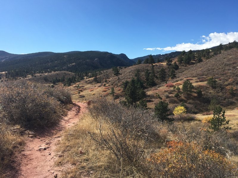 Views of the trail and the general landscape.