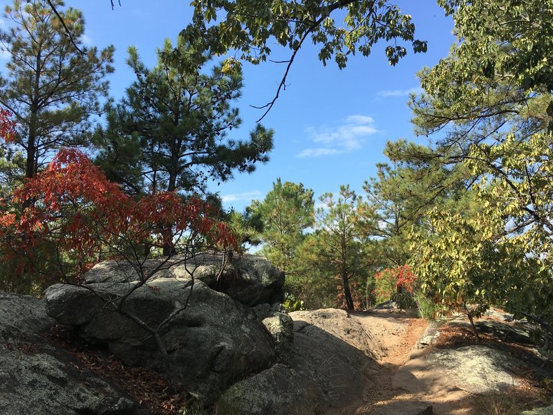 View from Pigeon Hill.