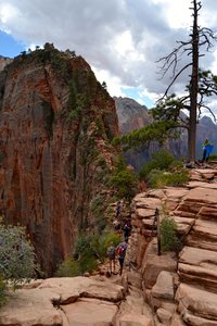 Angel's Landing Trail.