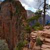 Angel's Landing Trail.