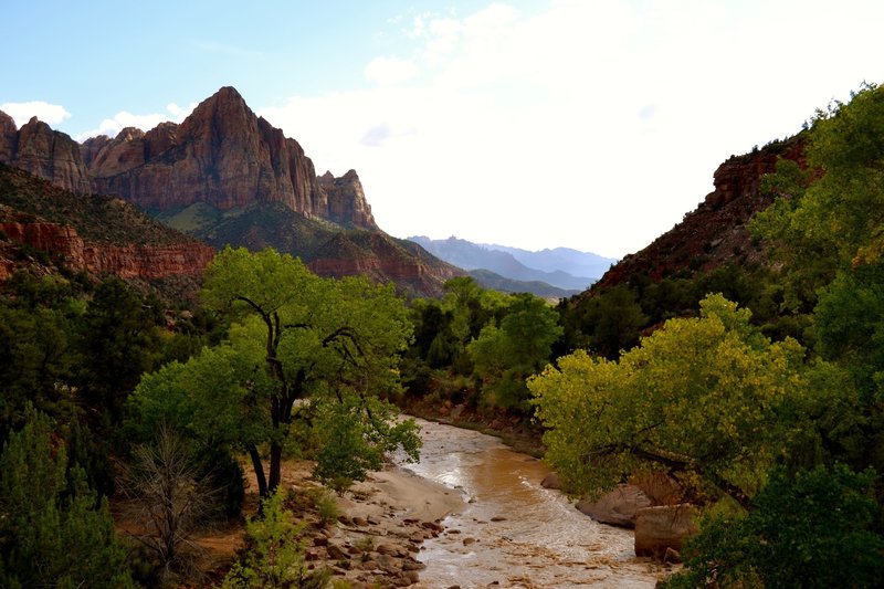 Zion National Park North Fork of the Virgin River after a heavy rain.