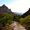 Zion National Park North Fork of the Virgin River after a heavy rain.