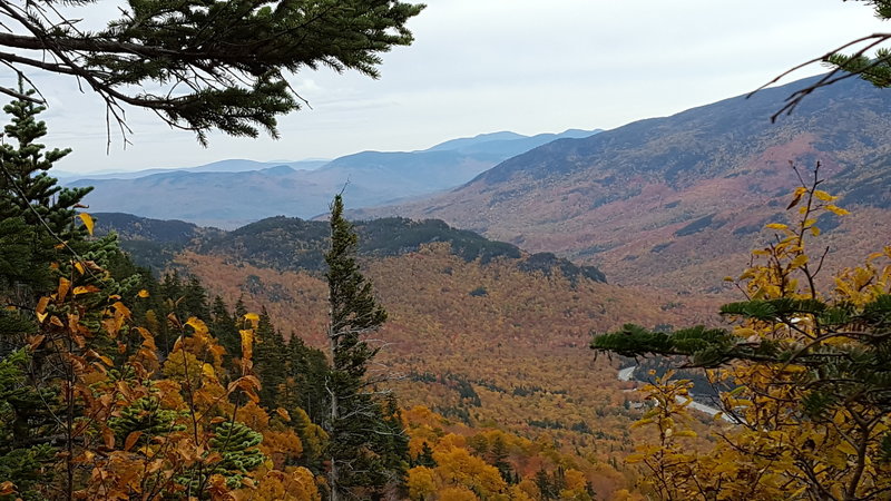 About 3/4 of the way up the trail in mid-October. Looking out in the direction of Mt. Washington.