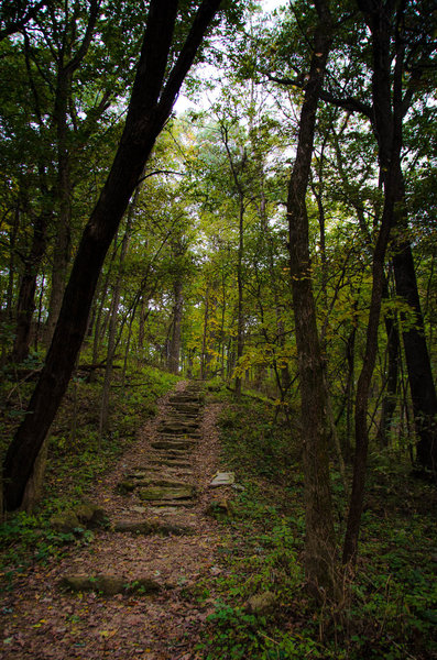 More of the climb up the side of the bluff.