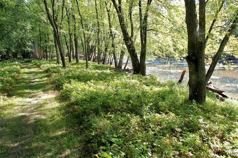 Summer time on the Jeep Trail.