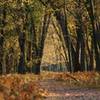 Fall along the Jeep Trail.