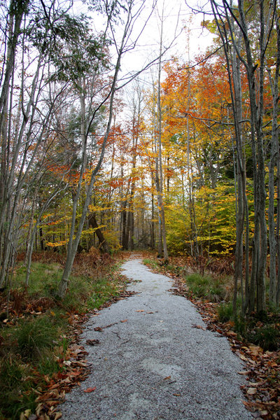 Fall along the Steven J. Young Marsh trail loop