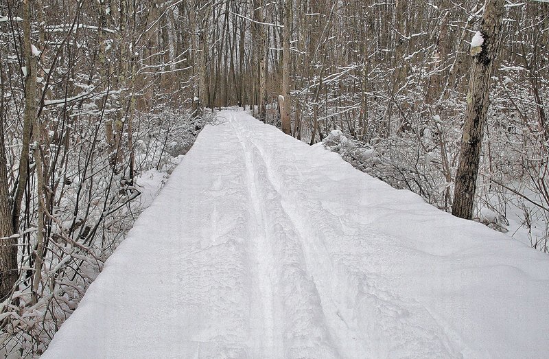 Winter along the boardwalk on the Discovery Trail