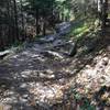 The Clingmans Dome Bypass Trail is quite rocky.