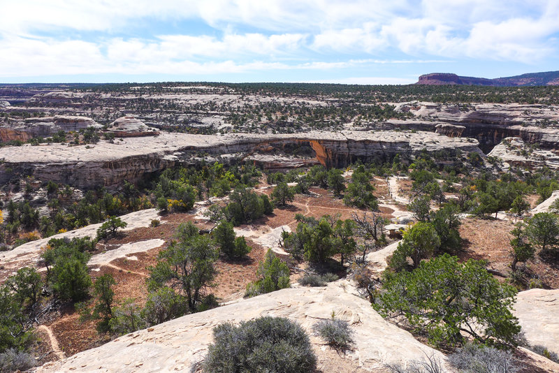 View of the Owachomo Bridge. Go ahead, walk down the trail and get an up close view!