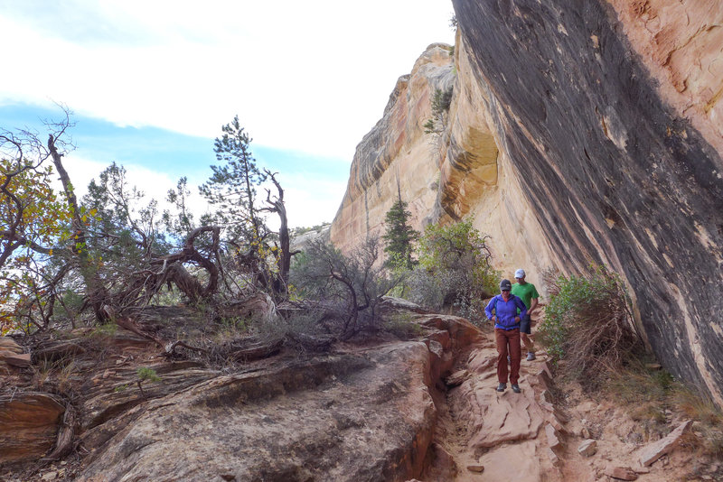 An amazing canyon trail takes you by three natural bridges and endless views of beautiful Southern Utah.