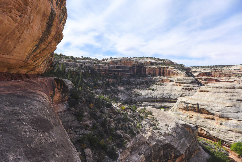 View of the White Canyon.