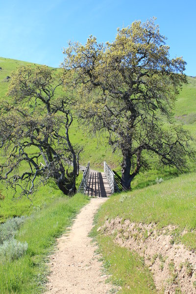 Sierra Vista Open Space Preserve.