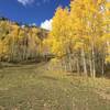 One of the "Aspen Flats" on this trail.