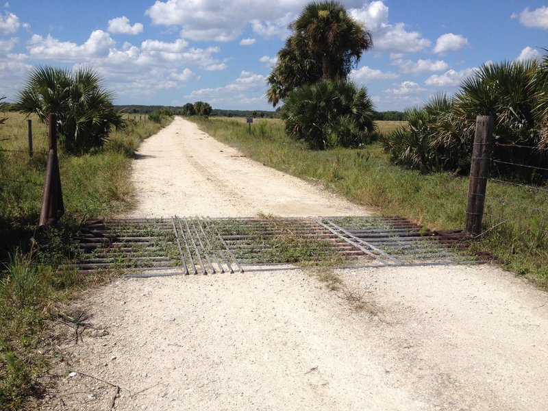 Visitors can drive the main ranch road to view wildlife. Crested caracara and sandhill cranes are often seen in the pastures.