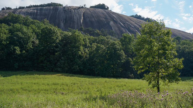 Looking up at Stone Mountain.