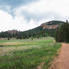 A look up the valley on the dirt road or Bugling Elk Trail.