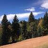 Lion's Head (9,450') as seen from Staunton Ranch Trail.