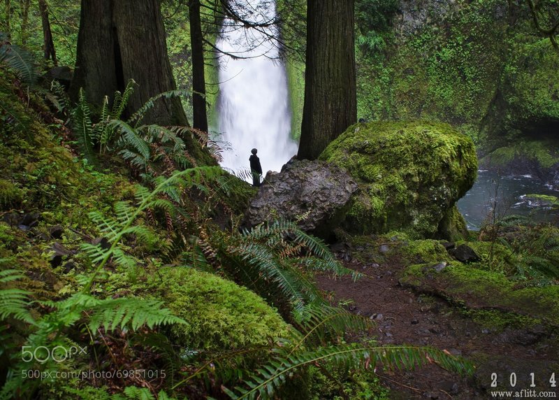 Silhouette view of Tanner Creek Falls.