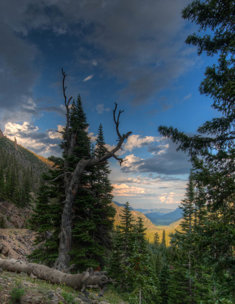 Trail Ridge Road.