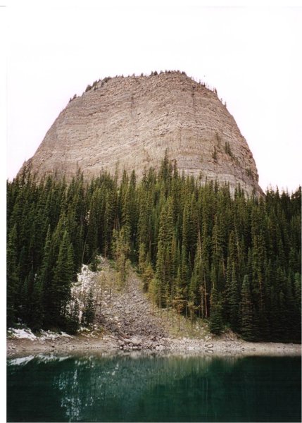 Looking up at the Beehive.