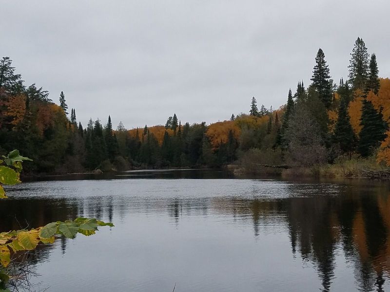 Looking back upriver.