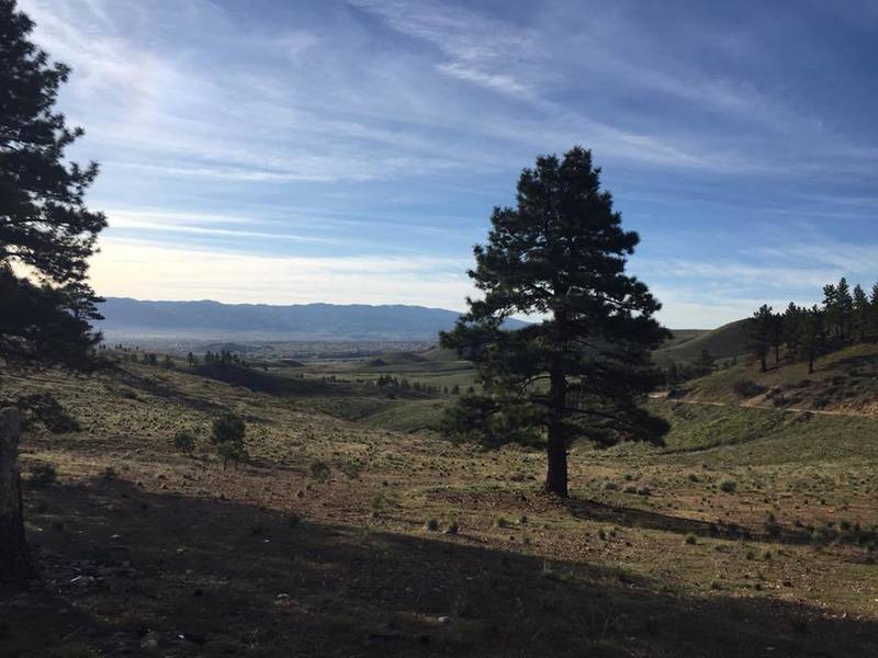 Views of Washoe Valley from the trail.