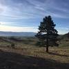 Views of Washoe Valley from the trail.